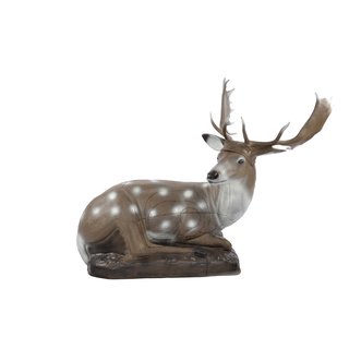 Franzbogen Damhirsch, liegend